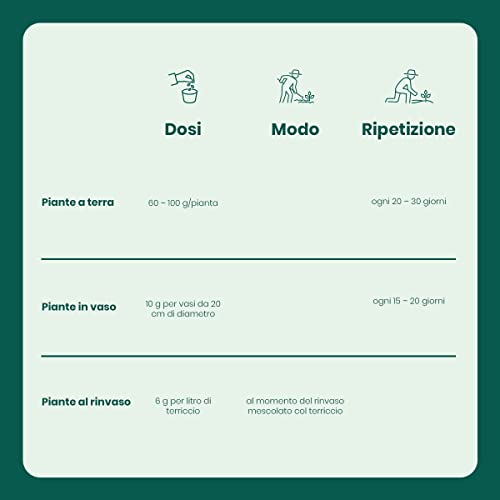 Concime Per Piante Verdi E Tropicali 1kg - Fertilizzante Naturale Con Azoto, Fosforo, Potassio - Foto 12