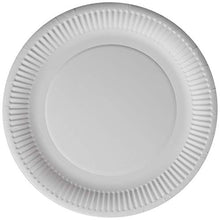 Carica l'immagine nel visualizzatore di Gallery, Ckone - Confezione da 100 piatti di carta grandi - Ilgrandebazar