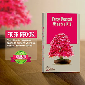 Coltivare il proprio kit bonsai - Facilmente crescere 4 tipi di alberi...