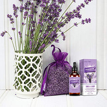 Carica l'immagine nel visualizzatore di Gallery, Olio di lavanda 118 ml, MANSI 100% puro e naturale non diluito oli... - Ilgrandebazar