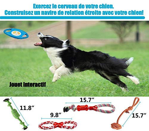 Frisbee Per Cani In Gomma Termoplastica - Diametro 21.6 Cm, Rosso, Per Giochi All'Aperto - Foto 3