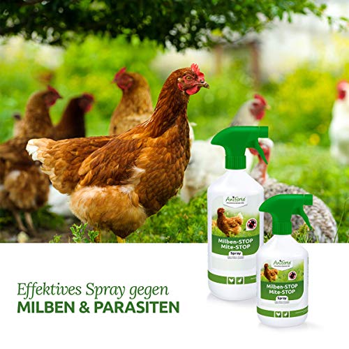 AniForte Spray antiacaro per polli e pollame 500ml - Contro Acari e –