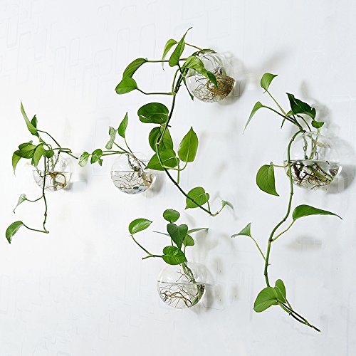 Mini vasi in vetro blu retrò set di 6 decorazioni Mini vasi in vetro blu retrò set di 6 decorazioni