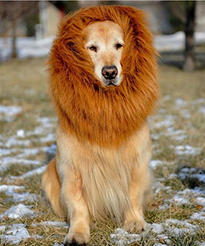 Criniera Sintetica Marrone Criniera Di Leone Per Cani E Gatti