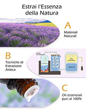 Carica l'immagine nel visualizzatore di Gallery, VicTsing Oli Essenziali, 6 * 10ml Set di Essenziali Puri 100% per Marrone