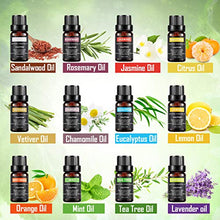 Carica l'immagine nel visualizzatore di Gallery, Magicfun oli Essenziali per Diffusori Massaggi 100% Puri Naturale Set di...