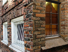 Carica l'immagine nel visualizzatore di Gallery, SPUNTONI ANTI UCCELLI IN ACCIAIO INOSSIDABILE – Duraturo repellente per... - Ilgrandebazar