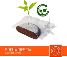 Carica l'immagine nel visualizzatore di Gallery, 16