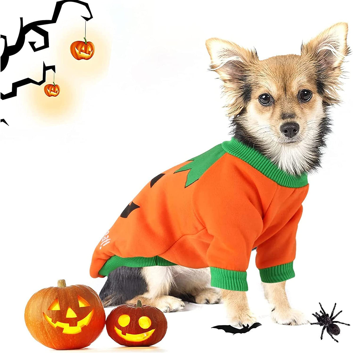 Zucca Vestiti Halloween Cani Amazon Mascotte Vestito Da Zucca