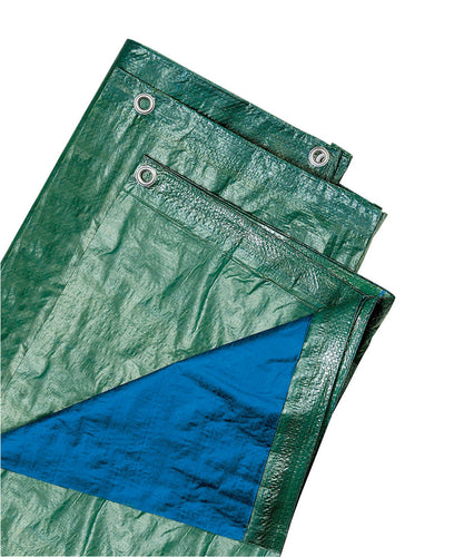 VERDELOOK Telo occhiellato Multiuso in polietilene, 5x4 m, Verde/Blu, blu