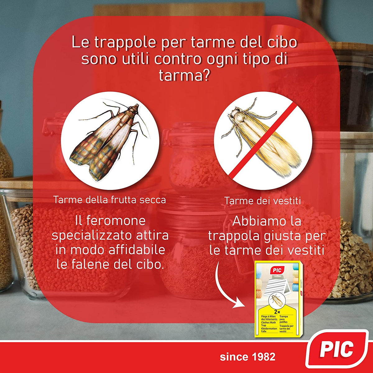 Trappola Per Tarme Degli Alimenti Flortis – Kit 3 Trappole, Feromoni, 8 Settimane, Non Tossico - 4