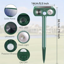 Carica l'immagine nel visualizzatore di Gallery, image1