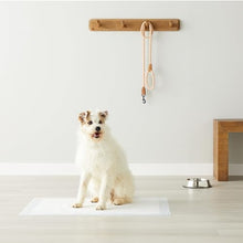 Carica l&#39;immagine nel visualizzatore di Gallery, Amazon Basics, Tappetini per l&#39;addestramento di cani e cuccioli, design a 5 strati a prova di perdite con superficie ad asciugatura rapida, dimensione XL, confezione da 40, Celeste