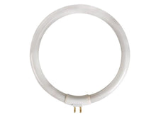 Carica l'immagine nel visualizzatore di Gallery, Velleman Tubo fluorescente T4 12W, bianco freddo 6500K, 720 lumen, lampada di ricambio rotonda per lampada con lente, lu