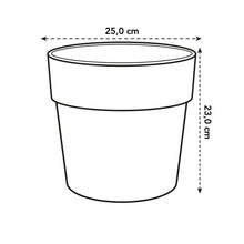 Carica l'immagine nel visualizzatore di Gallery, elho vibia straight 25cm vaso da fiori - Pistache Green
