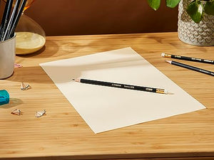 Matita in grafite - STABILO Swano - Fusto nero - Confezione da 12 - Gradazione HB