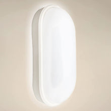 Carica l'immagine nel visualizzatore di Gallery, LED Lampada da soffitto, 20W 2200LM Luce della cantina a LED, plafoniera ovale, Plafoniera da Parete Impermeabile IP55, 