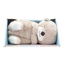 Carica l'immagine nel visualizzatore di Gallery, Fisher-Price Lontra Coccola &amp; Relax - Carillon Neonati Succhietto con Movimento Respirazione - Luci e Suoni - Scoperte Sensoriali - Regalo per Neonati da 0+ Mesi, FXC66