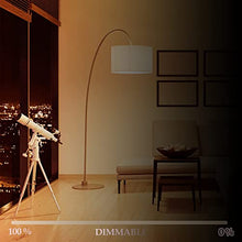 Carica l'immagine nel visualizzatore di Gallery, Eande 6 Pezzi Lampadina Alogena 118mm R7S 230W, Dimmerabile 230V 4650 Lumen Bianca Calda 2800K
