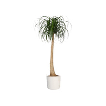 Carica l'immagine nel visualizzatore di Gallery, Elho B.For Soft Round 25cm Vasi per Piante - White