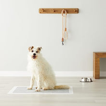 Carica l&#39;immagine nel visualizzatore di Gallery, Amazon Basics Tappetini al carbone con controllo degli odori per l&#39;addestramento di cani e cuccioli,prova di perdite con superficie ad asciugatura rapida,dimensione XL, confezione da 50, grigio