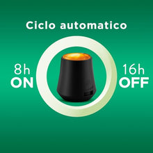 Carica l&#39;immagine nel visualizzatore di Gallery, Airwick Armonia Istantanea Profumatore per Ambienti, Confezione con 1 Diffusore di Oli Essenziali e 1 Ricarica alla Fragranza Brezza Oceanica per Diffusore di Oli Essenziali