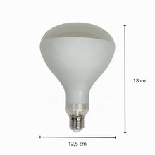Carica l'immagine nel visualizzatore di Gallery, DL DAYLIGHTITALIA Lampadina da ricambio per Parentesi Flos - Filamento Led R125 13W E27 2700K 1330Lm