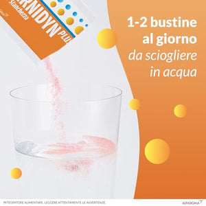 Carnidyn Plus Integratore Alimentare per Stanchezza Mentale e Fisica, 20 Bustine da 5g da Sciogliere in Acqua, Gusto Agrumi
