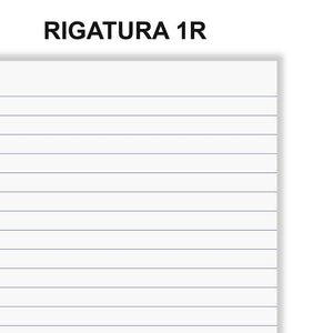 Favorit cf.5 Quaderni Spiralati A4, A Righe, Carta 80g/Mq, 1 rosso, 1 blu, 1 verde, 1 turchese + 1 colore a rotazione
