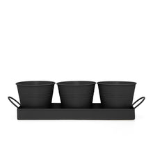 Carica l'immagine nel visualizzatore di Gallery, CKB LTD Set di 3 vasi per erbe aromatiche in metallo con vassoio antigoccia, per interni, per davanzale, colorati, per l
