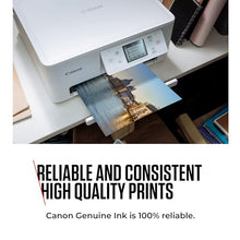Carica l'immagine nel visualizzatore di Gallery, Canon Ink - PG-540L Cartuccia d'inchiostro nera originale a resa elevata per stampanti - Stampa fino a 300 pagine A4 (1 cartuccia) - Compatibile con la stampante PIXMA