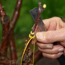 Carica l'immagine nel visualizzatore di Gallery, Coltello Da Innesto Pieghevole in Acciaio Inossidabile - Cesoia Da Giardino per Taglio Piante