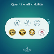 Carica l'immagine nel visualizzatore di Gallery, Bandini® NAC N-Acetil-Cisteina 220 Capsule 600mg, Precursore del Glutatione