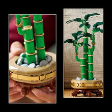Carica l'immagine nel visualizzatore di Gallery, LEGO Botanicals Bambù del Buon Auspicio, Pianta Artificiale da Arredamento Interno con Vaso Finto, Decorazione di Casa o Ufficio, Idea Regalo per Donna, Uomo e Adulti dalla Botanical Collection 10344