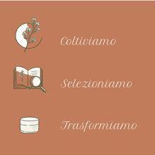 Carica l'immagine nel visualizzatore di Gallery, Bottega Verde - Stick Viso Multifunzione Collagene+Elastina, 12 ml