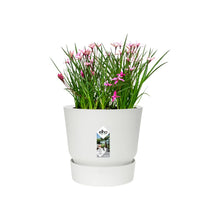 Carica l'immagine nel visualizzatore di Gallery, Elho Greenville Round 14cm Vasi per Piante - White