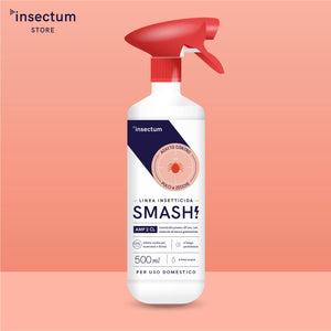 Spray anti zecche e spray antipulci per ambienti | AMP 2 CL Antipulci e zecche 500 ml | Anti zecche e pulci interno ed esterno (1x 500 ml)
