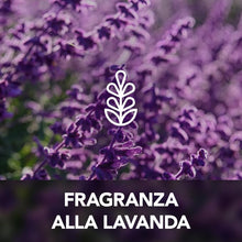 Carica l'immagine nel visualizzatore di Gallery, Raid Essentials Liquido Elettrico Antizanzare, Lavanda,1 Ricarica da 36ml