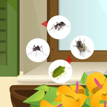 Carica l'immagine nel visualizzatore di Gallery, Vebi Draker RTU Insetticida Acaricida Liquido Microincapsulato Pronto all'Uso Largo Spettro Lunga Persistenza – Made in 