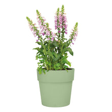 Carica l'immagine nel visualizzatore di Gallery, elho vibia straight 25cm vaso da fiori - Pistache Green
