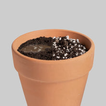 Carica l'immagine nel visualizzatore di Gallery, Perlite Giardinaggio, 5L