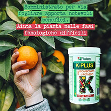 Carica l&#39;immagine nel visualizzatore di Gallery, Fitokem | K-PLUS 1kg Bicarbonato di Potassio per piante | kplus per alberi da frutto orto bolla del pesco