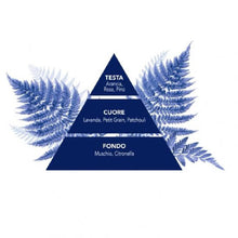 Carica l&#39;immagine nel visualizzatore di Gallery, Felce Azzurra - Bagnoschiuma Profumato Classico, Bagno Schiuma Detergente Delicato Idratante per Pelle Morbida con Note di Rosa, Lavanda e Patchouli, Bagnodoccia Dermatologicamente Testato, 650 ml