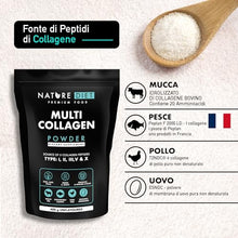 Carica l'immagine nel visualizzatore di Gallery, Nature Diet Multi Collagene in Polvere Non Aromatizzato Idrolizzato Collagene peptidico di tipo: I, II, III, V e X, altamente biodisponibile, collageno peptide, 400G