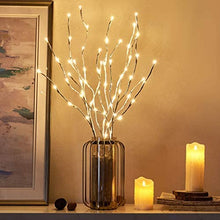 Carica l'immagine nel visualizzatore di Gallery, EAMBRITE Illuminazione decorativa per casa, con rami di betulla bianchi a 60 luci LED, per esterni, splendida decorazione per Natale, Pasqua, Halloween, feste