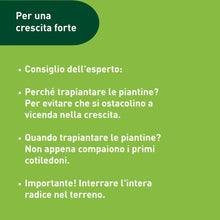 Carica l'immagine nel visualizzatore di Gallery, Set da picchetti, 2 pezzi.
