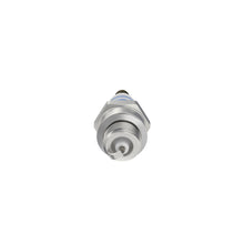 Carica l'immagine nel visualizzatore di Gallery, Bosch WSR6F - Candele per utensili da giardinaggio e silvicoltura