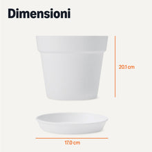 Carica l'immagine nel visualizzatore di Gallery, Amazon Basics - Vasi per Piante, 20.3cm, Bianco, Confezione da 1