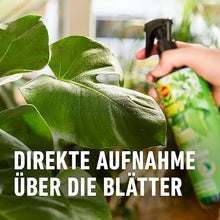 Carica l'immagine nel visualizzatore di Gallery, COMPO Leaf Care per piante verdi, fertilizzante per foglie per tutte le piante verdi e palme, 500 ml