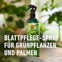 Carica l'immagine nel visualizzatore di Gallery, COMPO Leaf Care per piante verdi, fertilizzante per foglie per tutte le piante verdi e palme, 500 ml